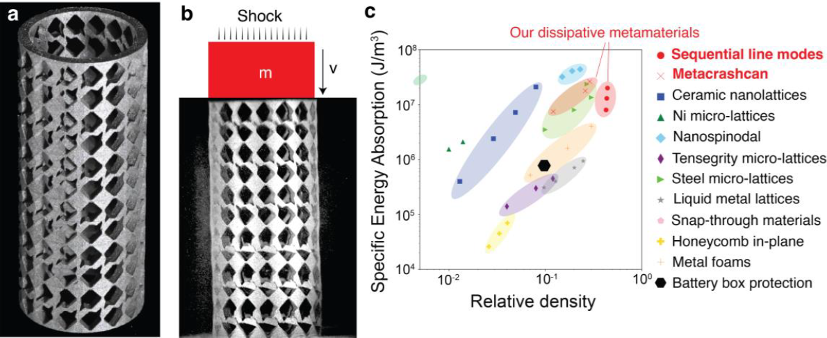 Dissipative Metamaterials